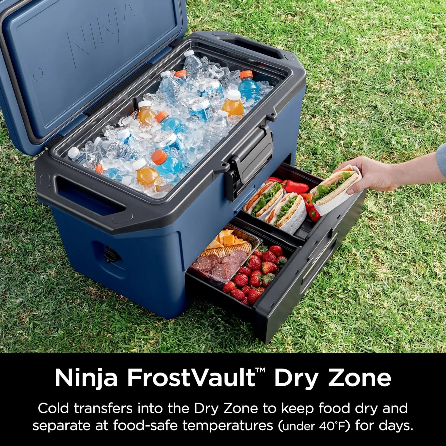 50qt Hard Cooler with Dry Zone Drawer Drinks & Food
